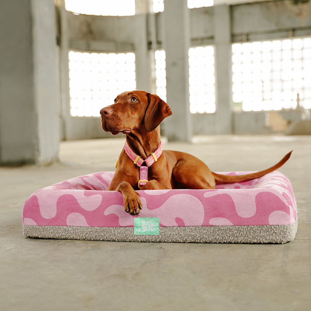 Cama para Perros Zee.Bed Fuse Chop