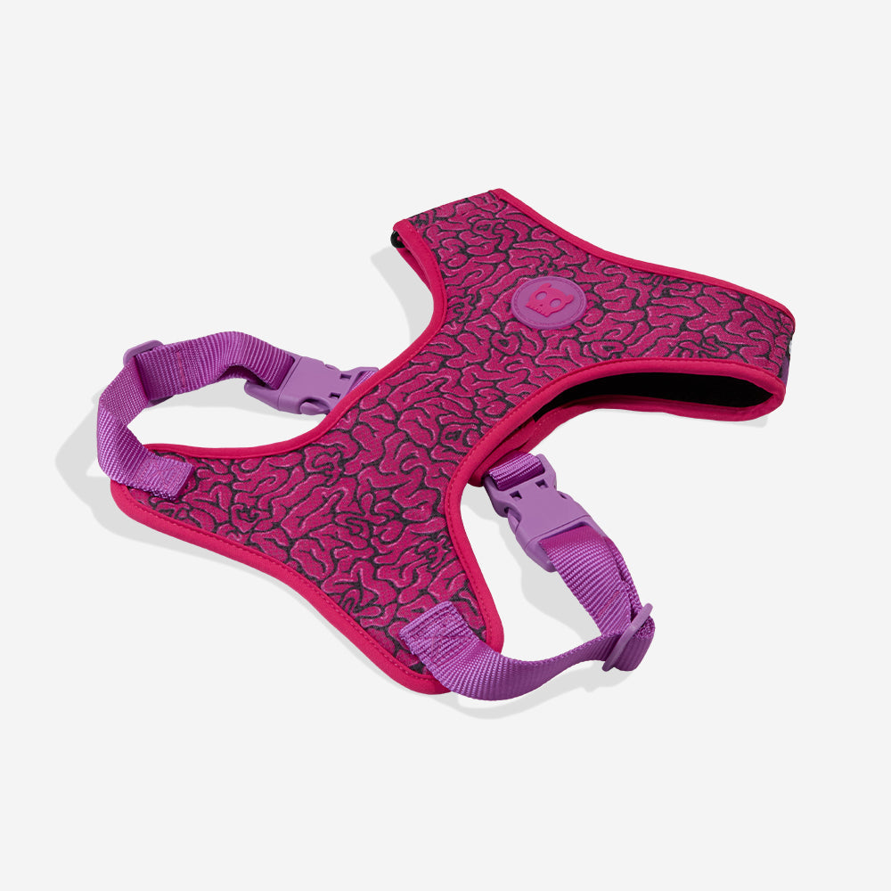 Pechera Air Mesh Ajustable para Perros Brain