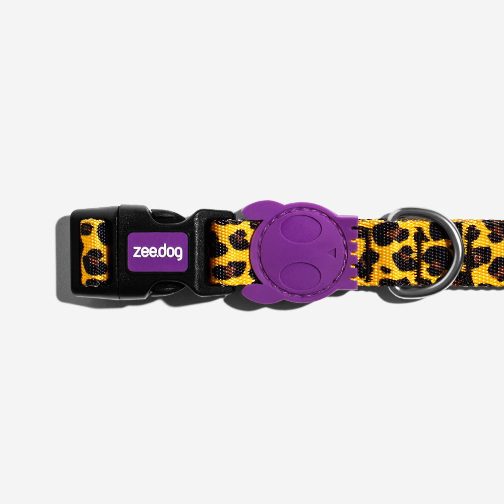 Collar para Perros Honey