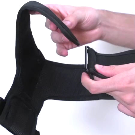 Pechera Air Mesh Ajustable para Perros Prisma