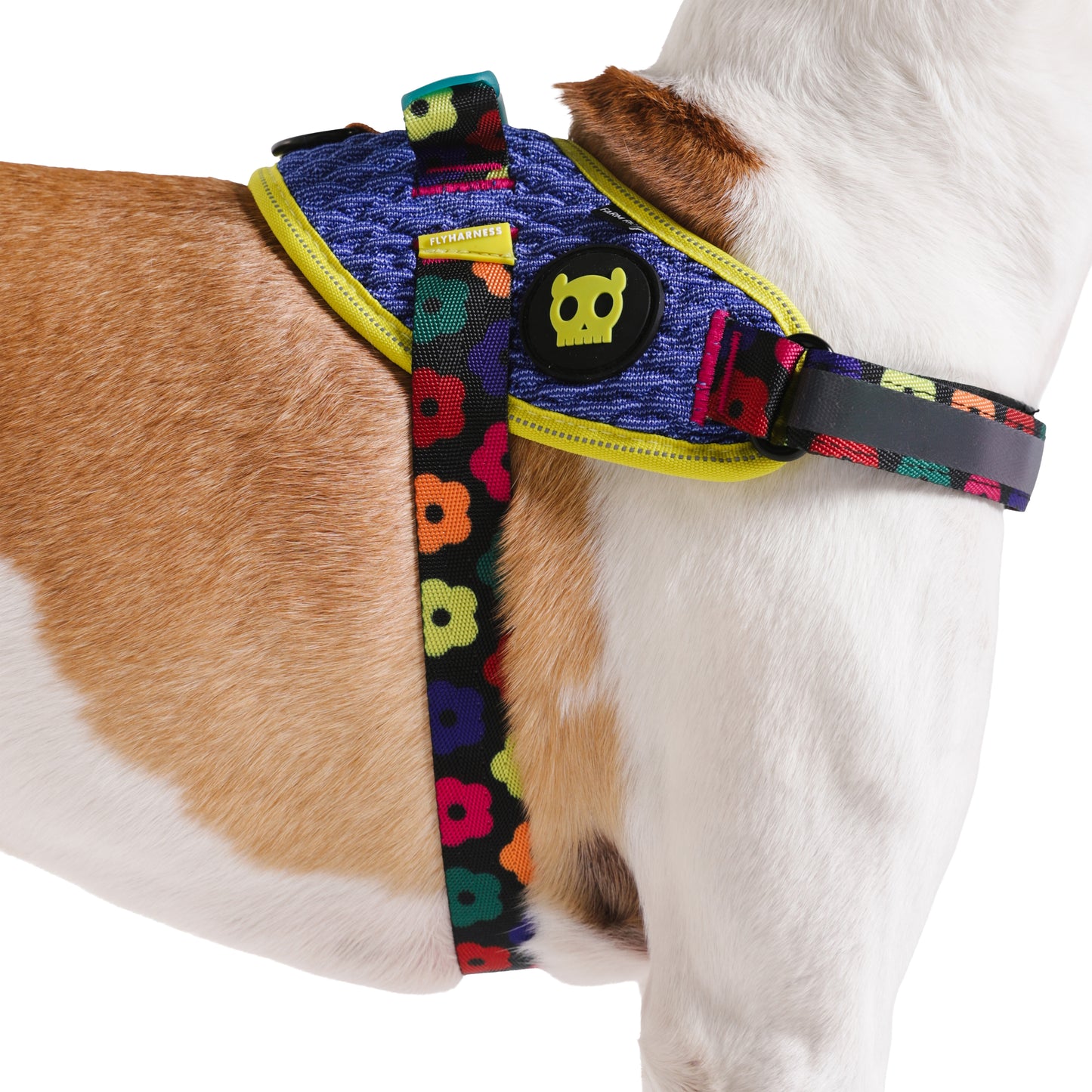 Pechera FlyHarness para Perros FARM Rio Samba