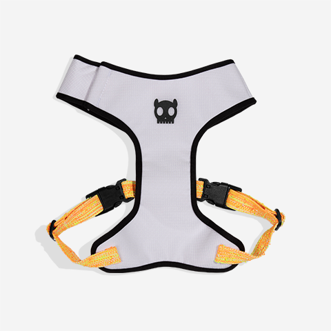 Pechera Air Mesh Ajustable para Perros Fuse Bikr