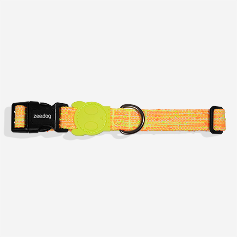 Collar para Perros Fuse Bikr