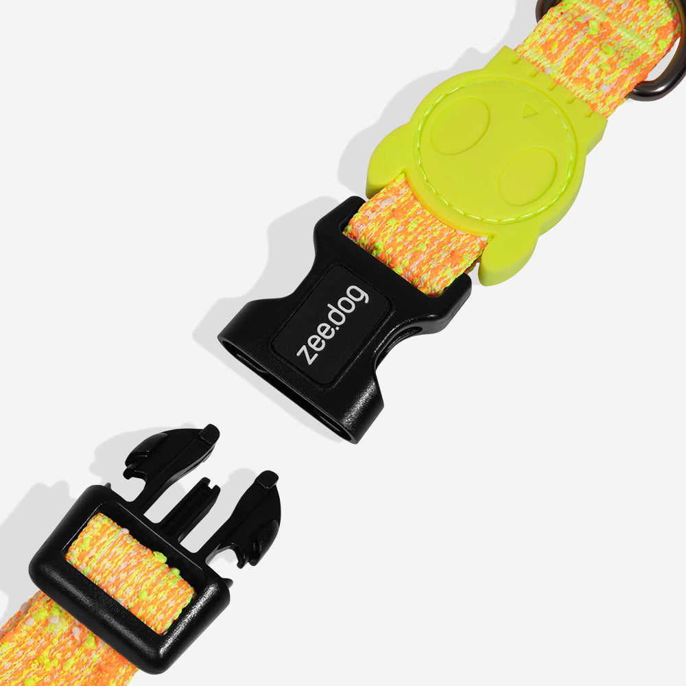 Collar para Perros Fuse Bikr