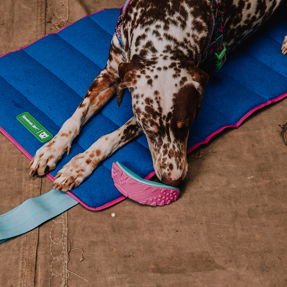 Juguete para Perros Reebok Aerobic Boomerang