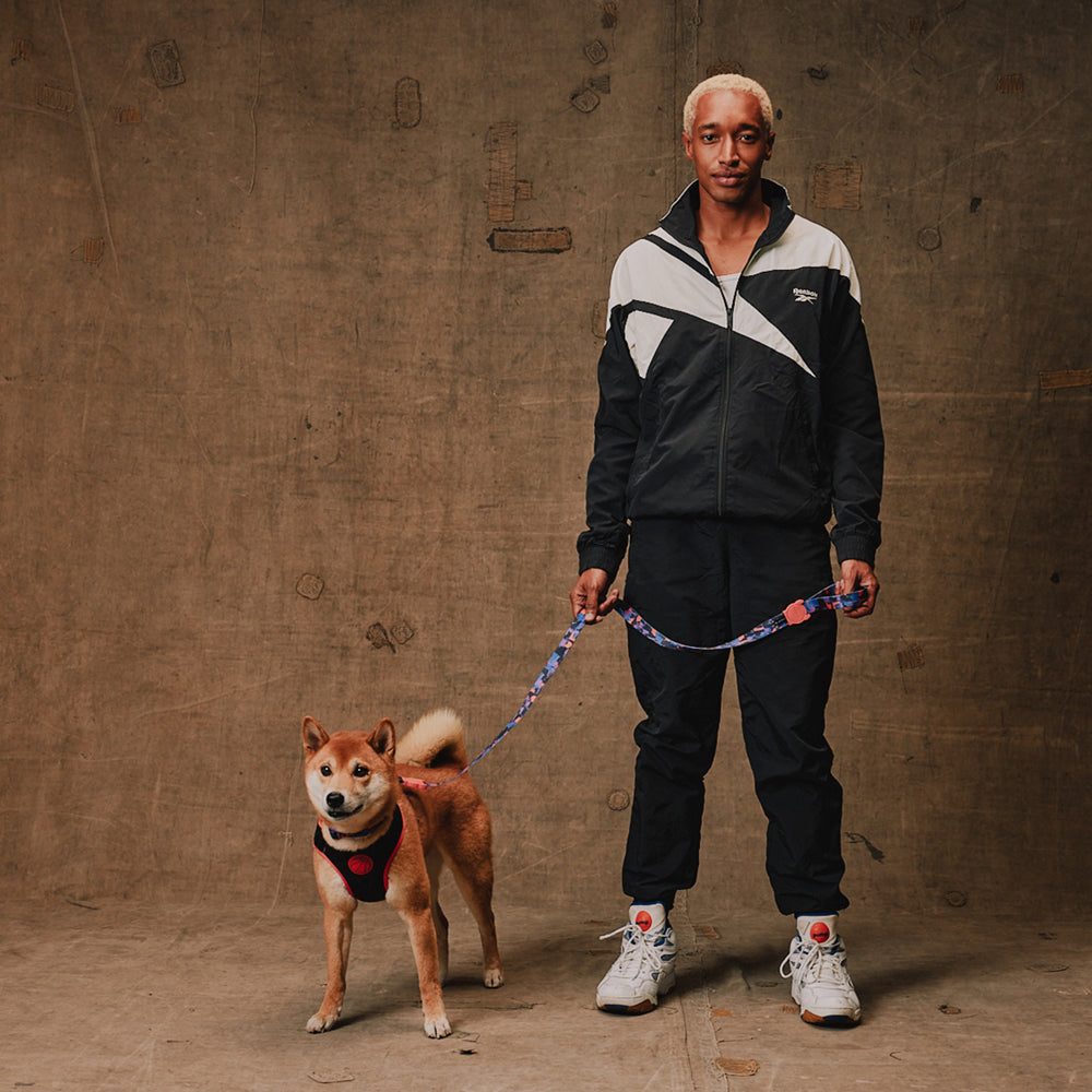 Pechera Air Mesh Ajustable para Perros Reebok Court