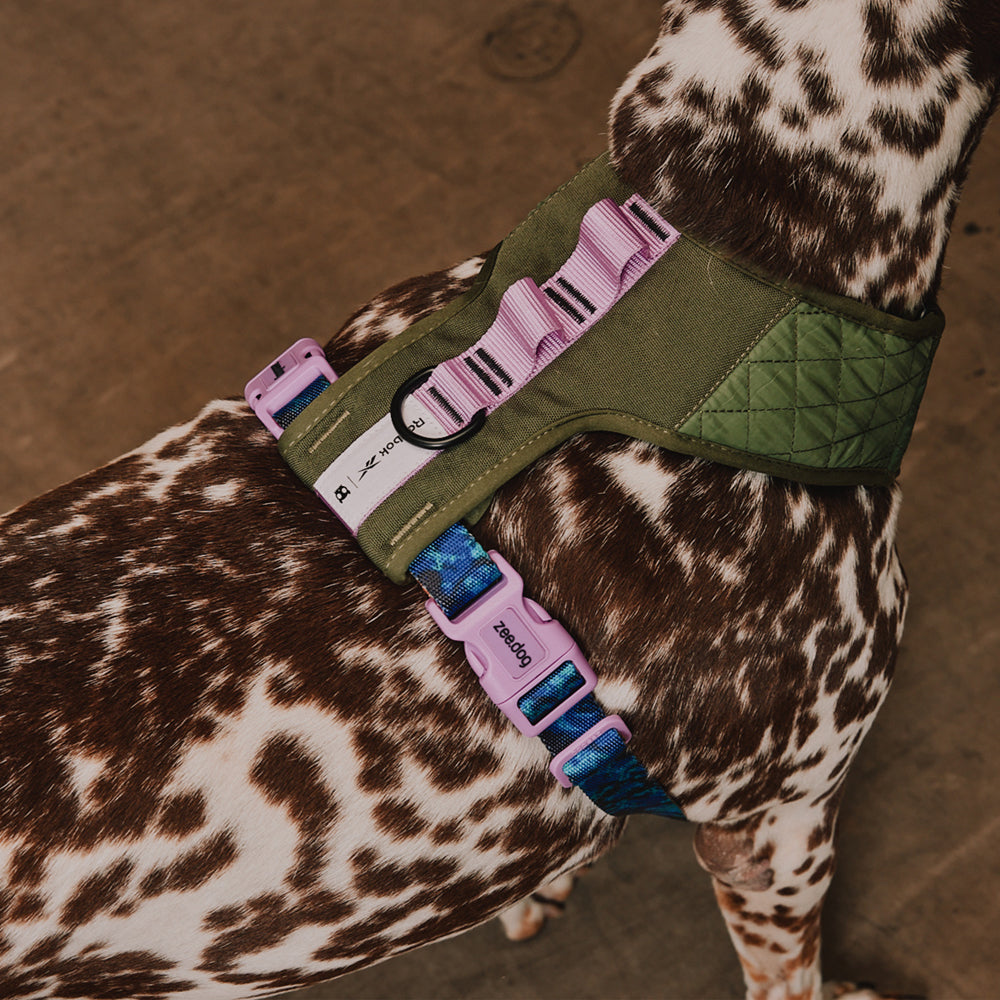 Pechera Air Mesh Ajustable para Perros Reebok Trekk