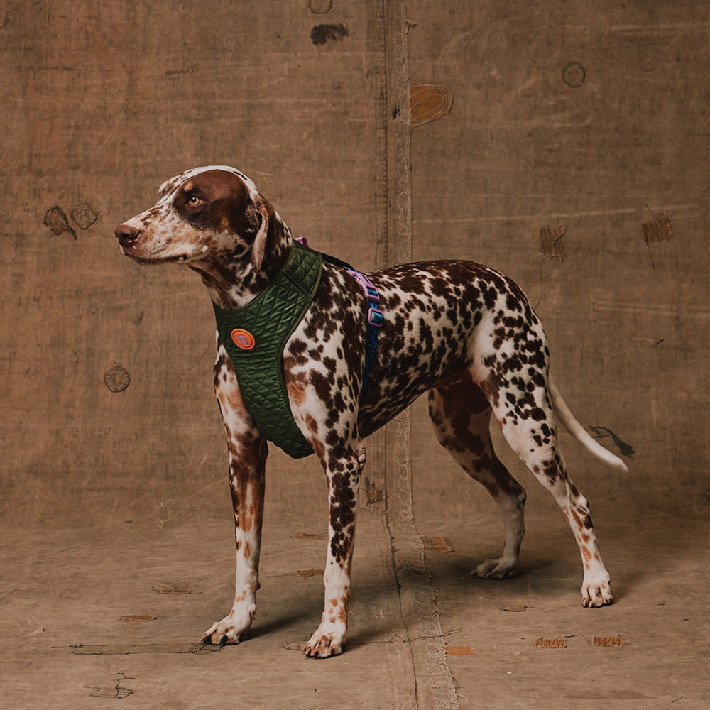 Pechera Air Mesh Ajustable para Perros Reebok Trekk
