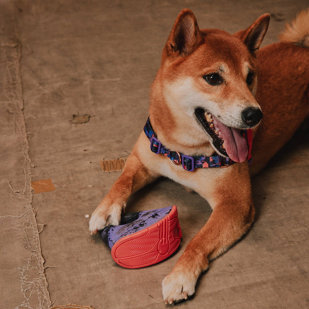 Juguete para Perros Reebok Court Rocking Tug