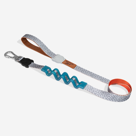Correa Ruff con Amortiguador para Perros Reebok Suede