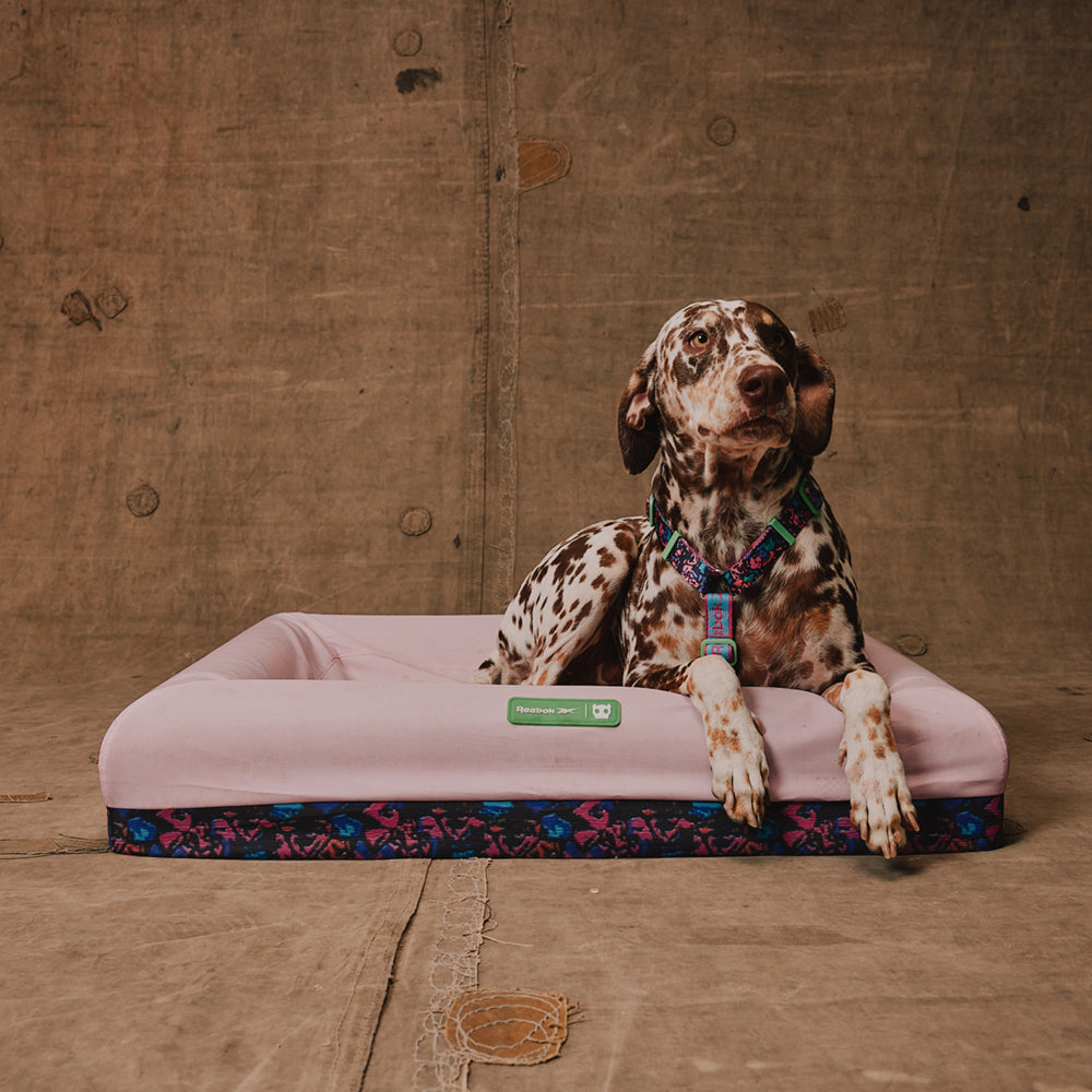 Cama para Perros Zee.Bed Reebok Aerobic