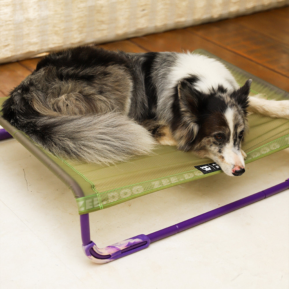 Cama para Perros Air.Bed Green