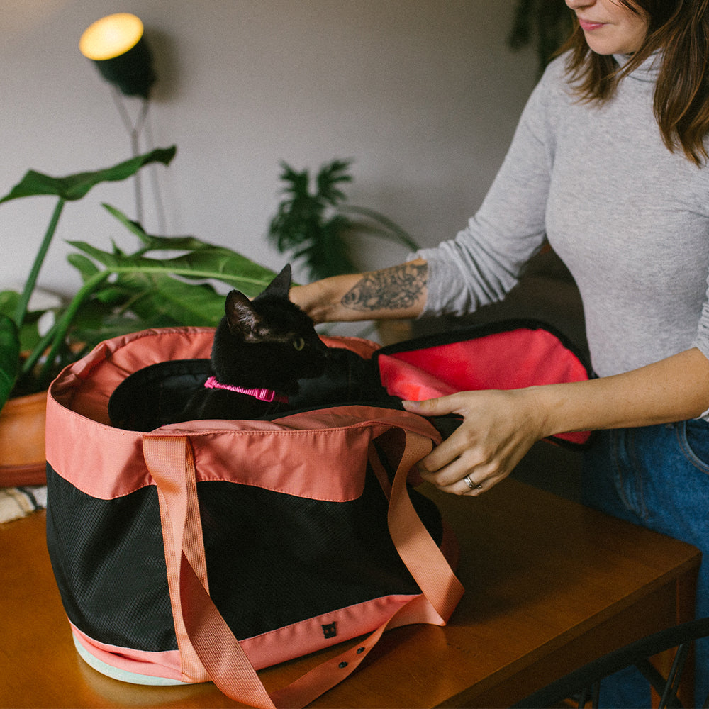 Bolso de Transporte Para Gatos Terracota