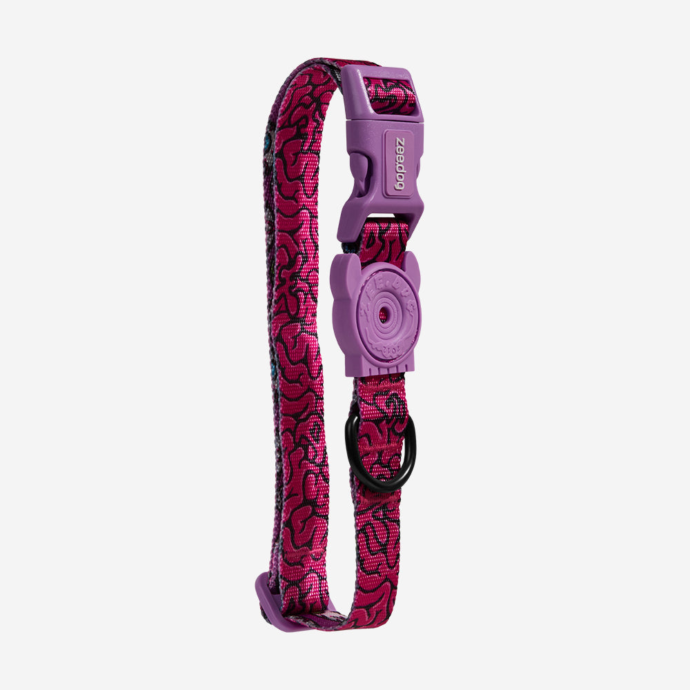 Collar para Perros Brain