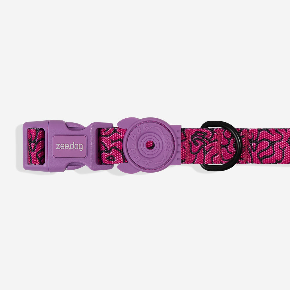 Collar para Perros Brain