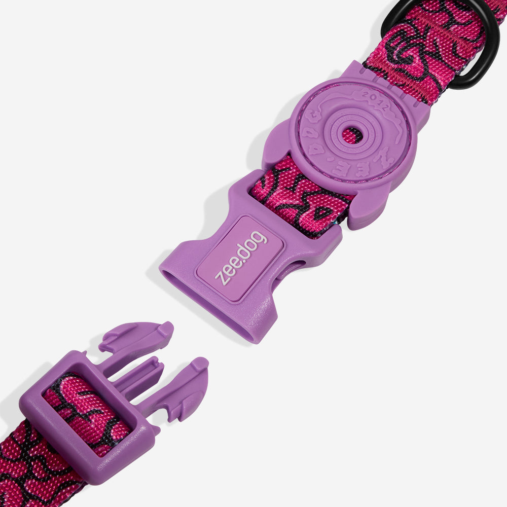 Collar para Perros Brain