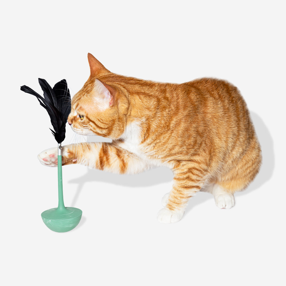 Juguete Porfiado para Gatos Mint Teaser