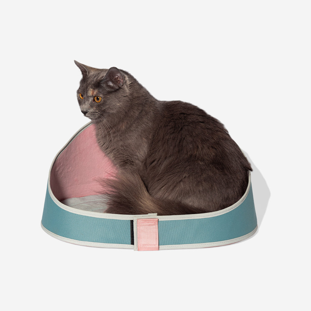 Cama para Gatos Kombucha
