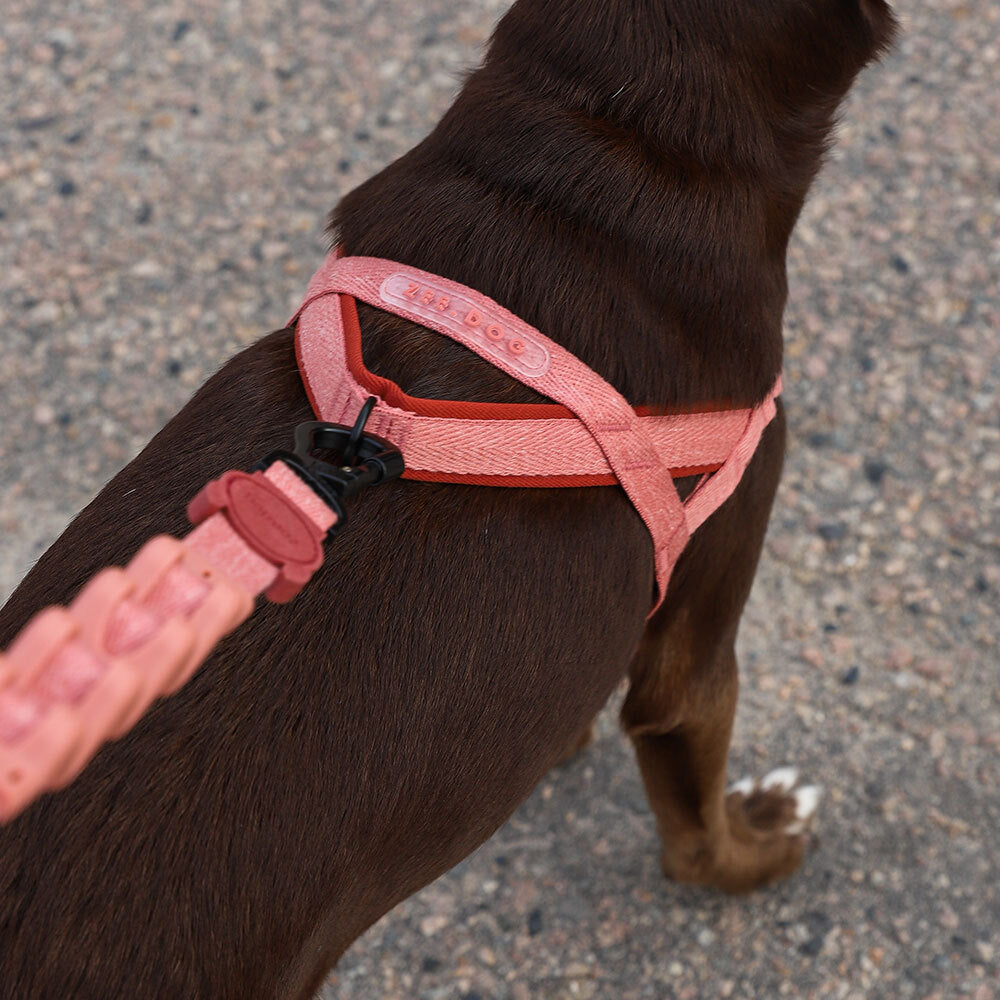 Arnés SofterWalk para Perros Jaladores Naturals Canyon