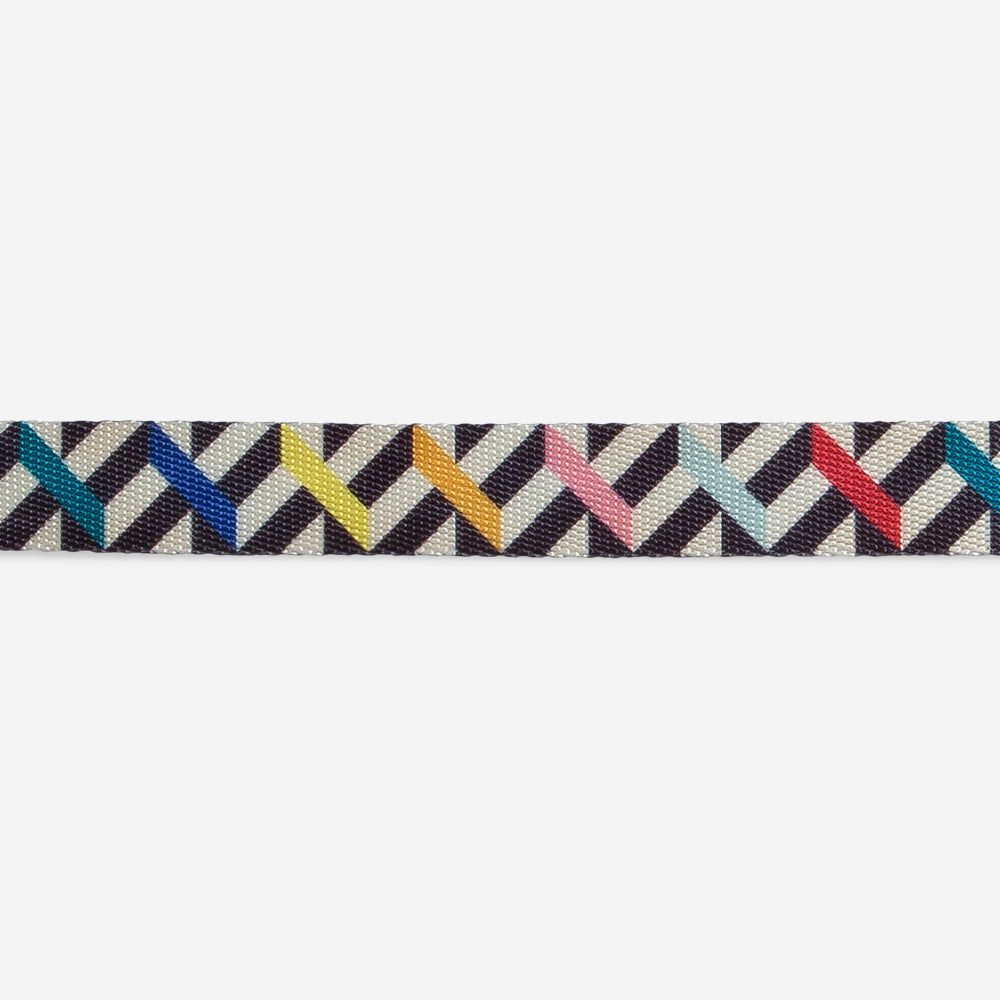 Collar para Perros Fritz