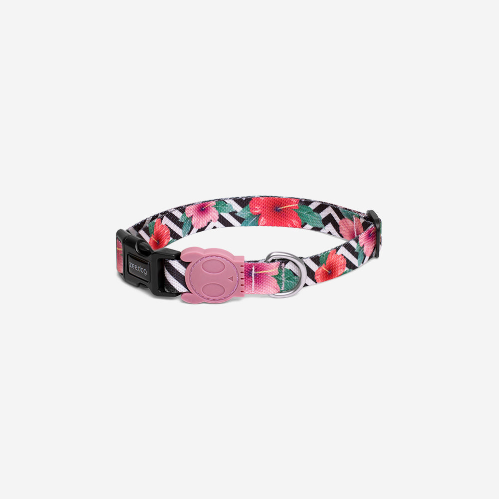 Collar para Perros Mahalo