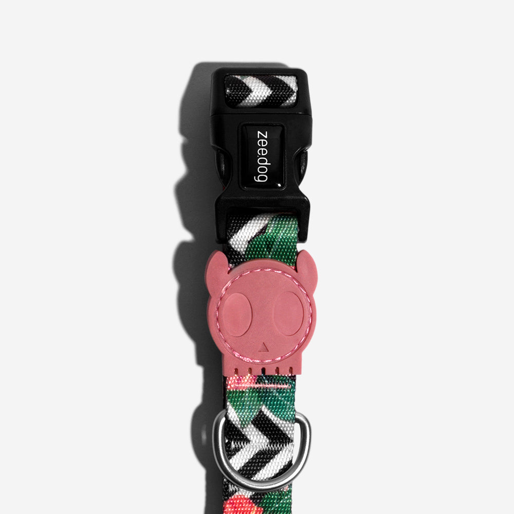 Collar para Perros Mahalo
