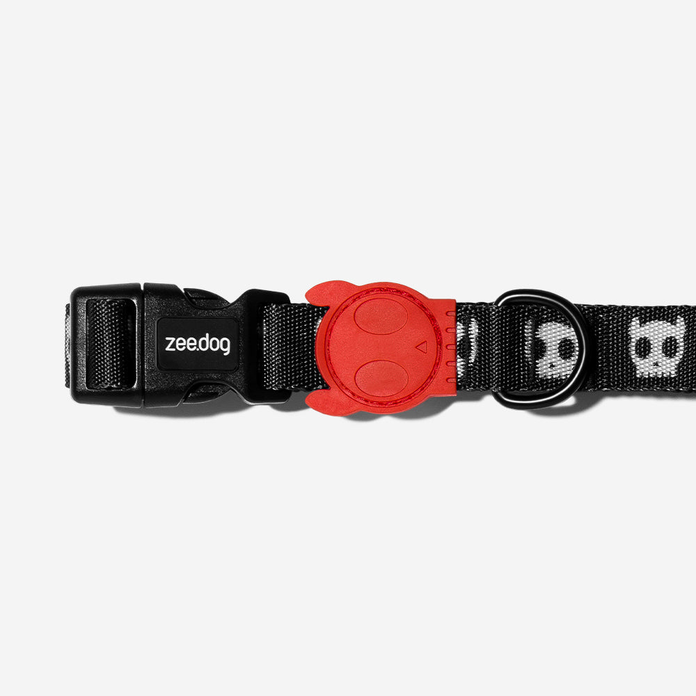 Collar para Perros Skull