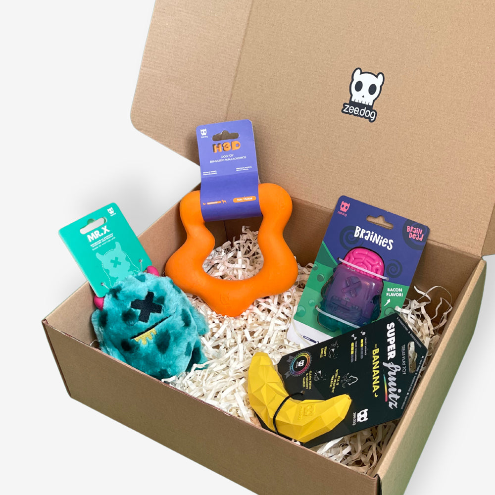Box Juguetes Zee.Dog Duros