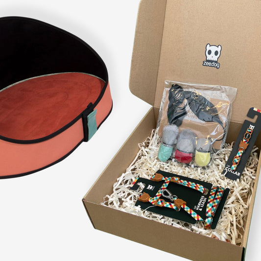 Box Zee.Cat con Cama de Gato