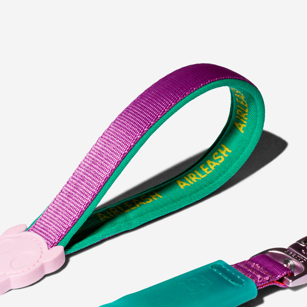 Correa Amortiguada Airleash para Perros Cali Dos