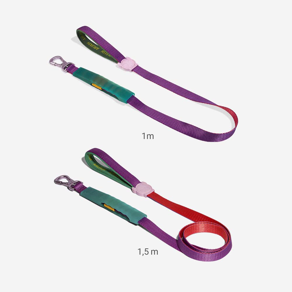 Correa Amortiguada Airleash para Perros Cali Dos