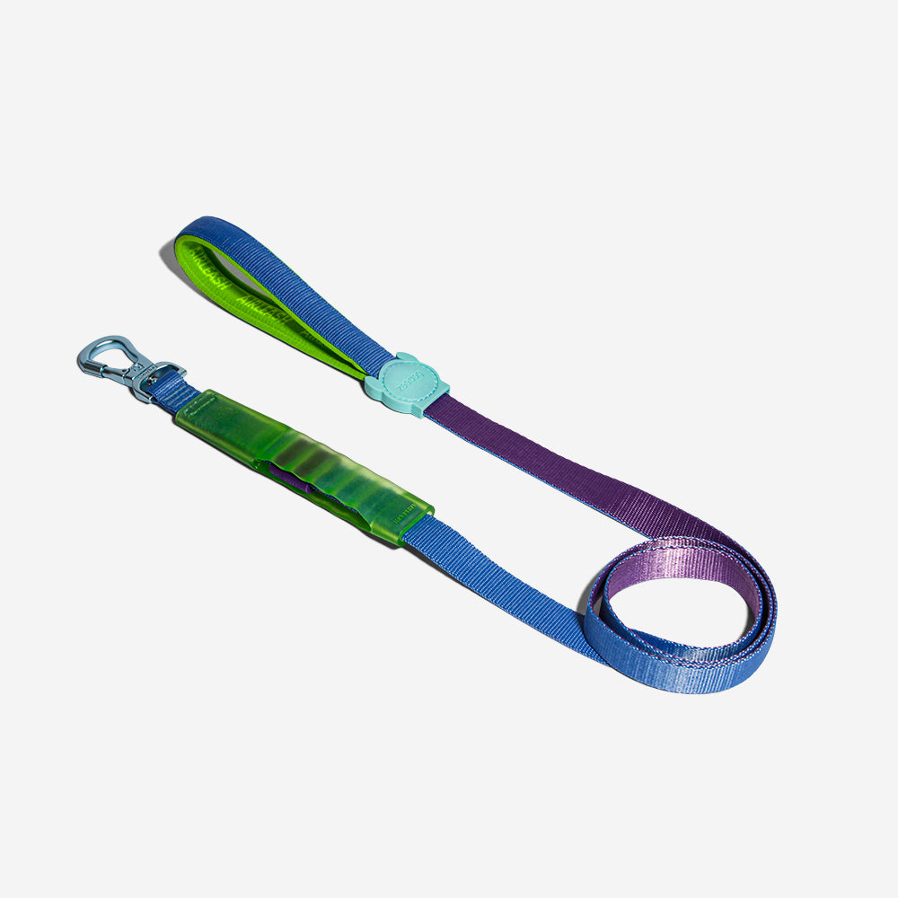 Correa Amortiguada Airleash para Perros Cali Uno