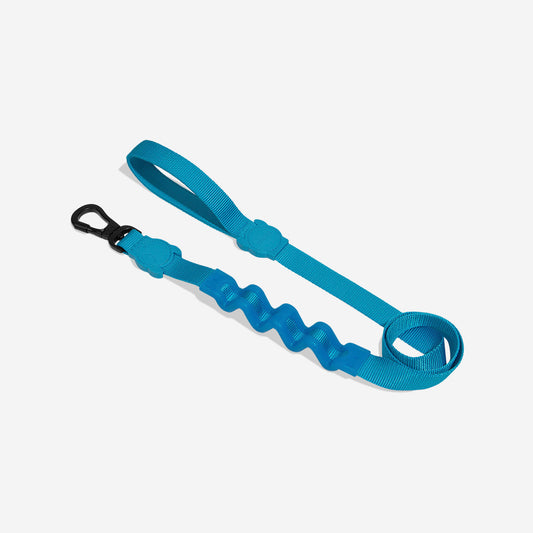 Correa Ruff con Amortiguador para Perros Ultimate Blue