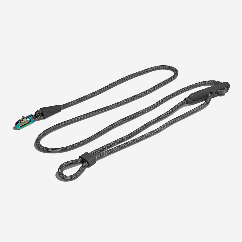 Correa Hands-Free para Perros Titanium