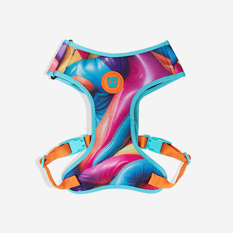 Pechera Air Mesh Ajustable para Perros H3D Bounce