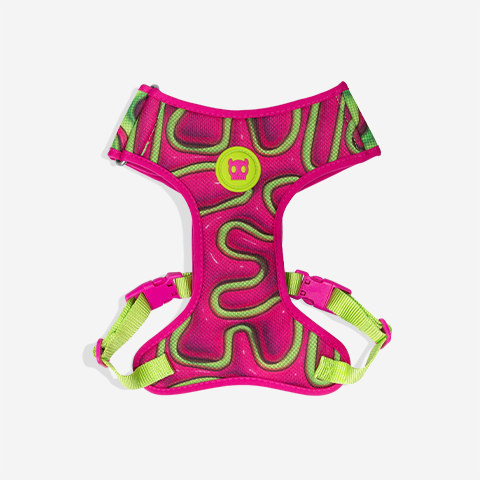 Pechera Air Mesh Ajustable para Perros H3D Jelly