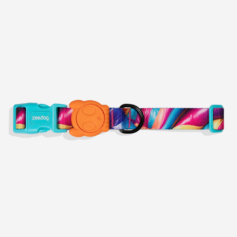 Collar para Perros H3D Bounce