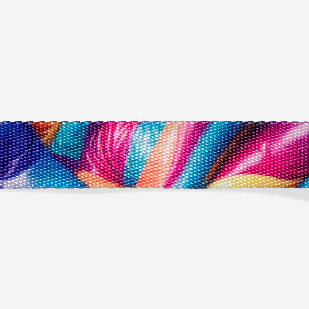 Collar para Perros H3D Bounce