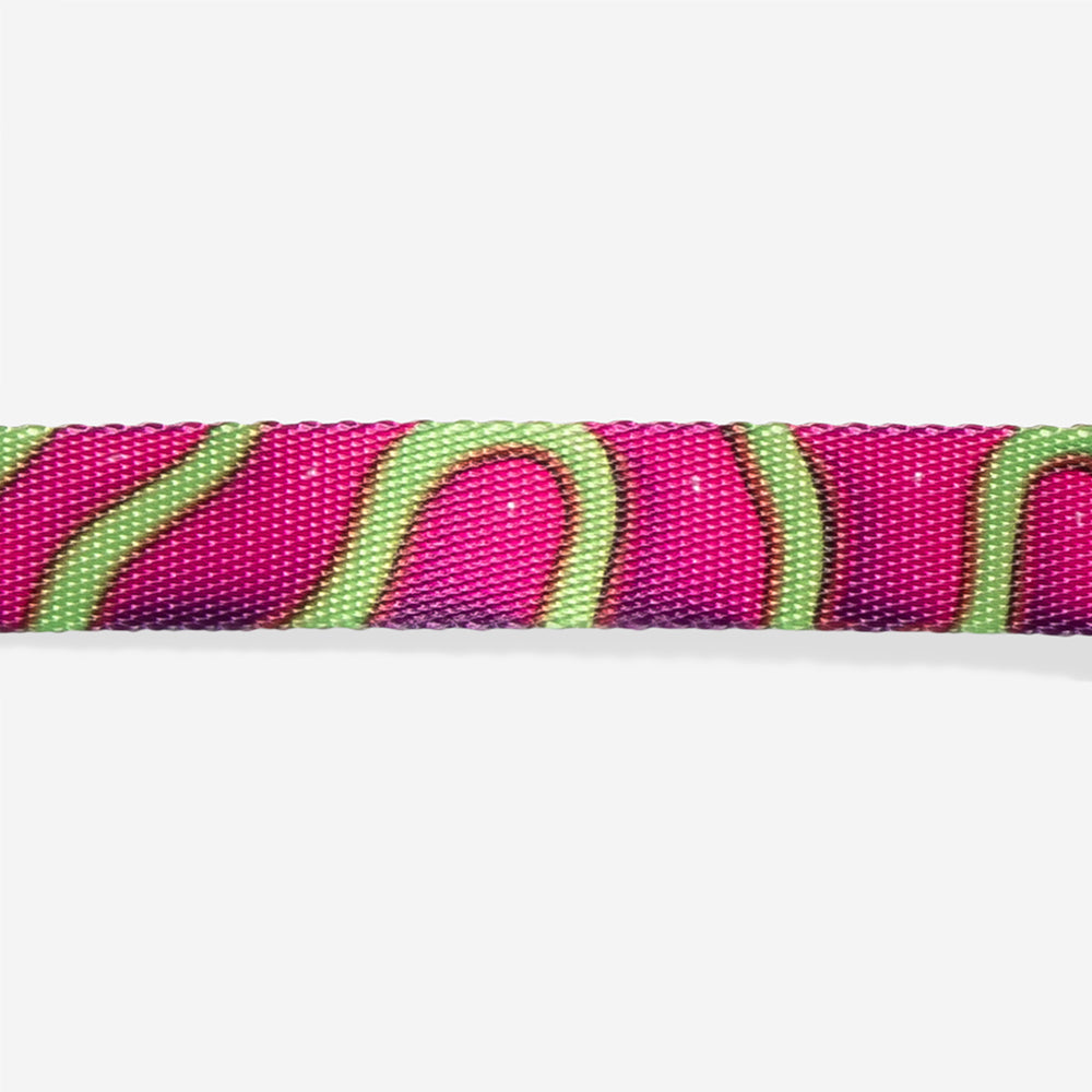 Collar para Perros H3D Jelly