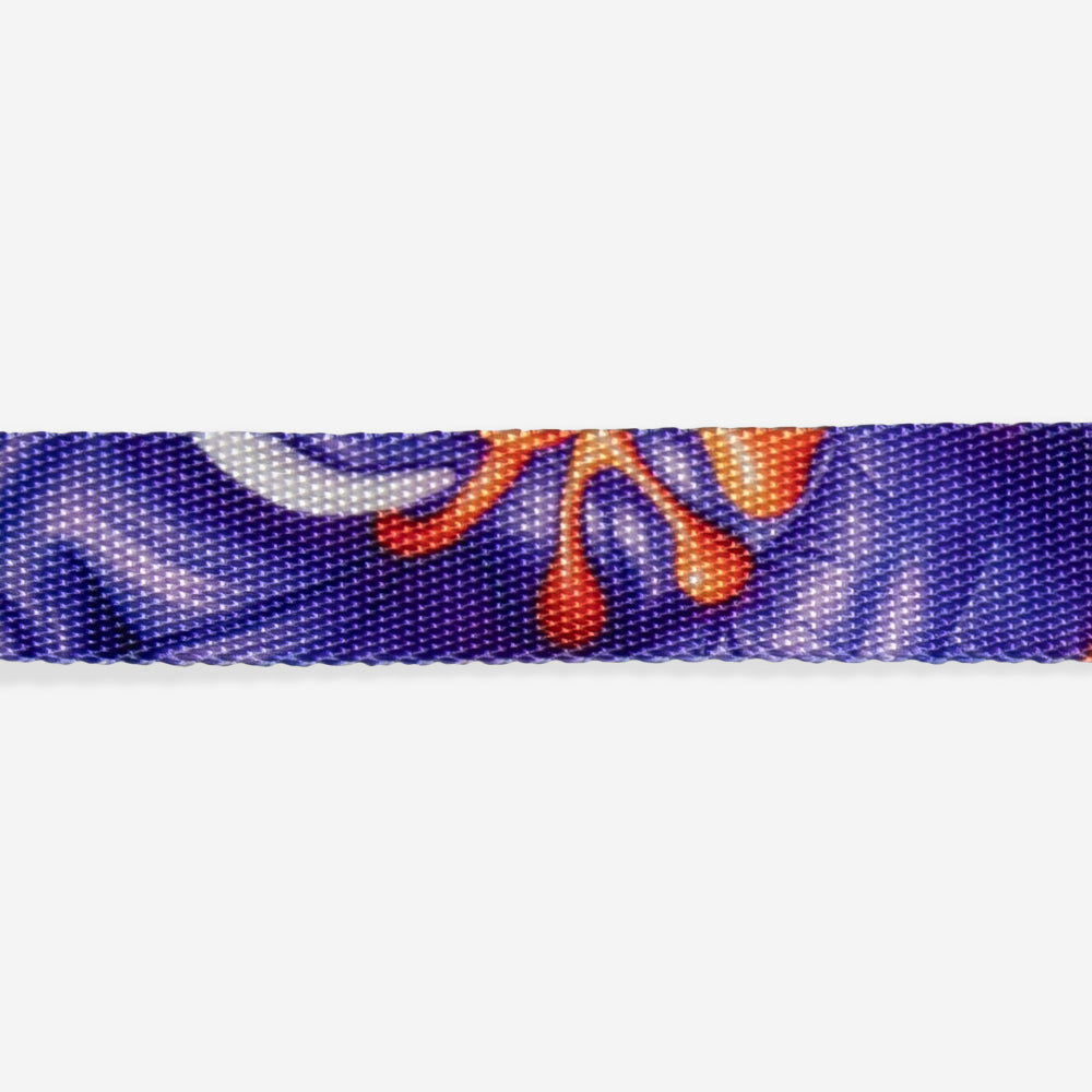 Collar para Perros H3D Puff