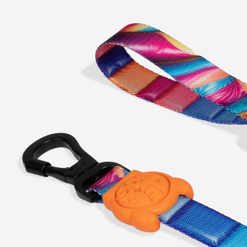 Correa para Perros H3D Bounce