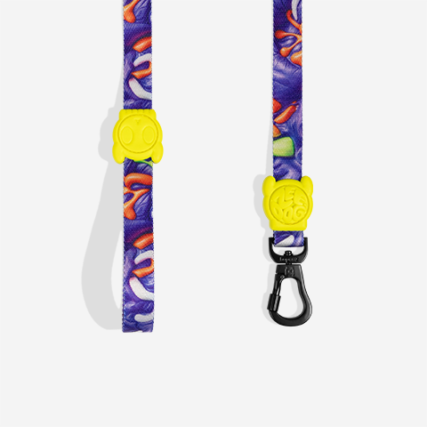 Correa para Perros H3D Puff