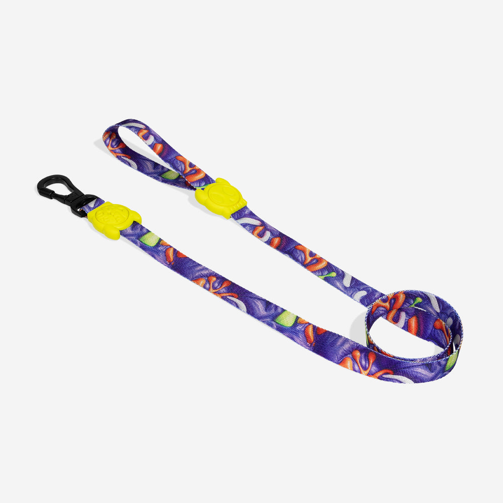 Correa para Perros H3D Puff
