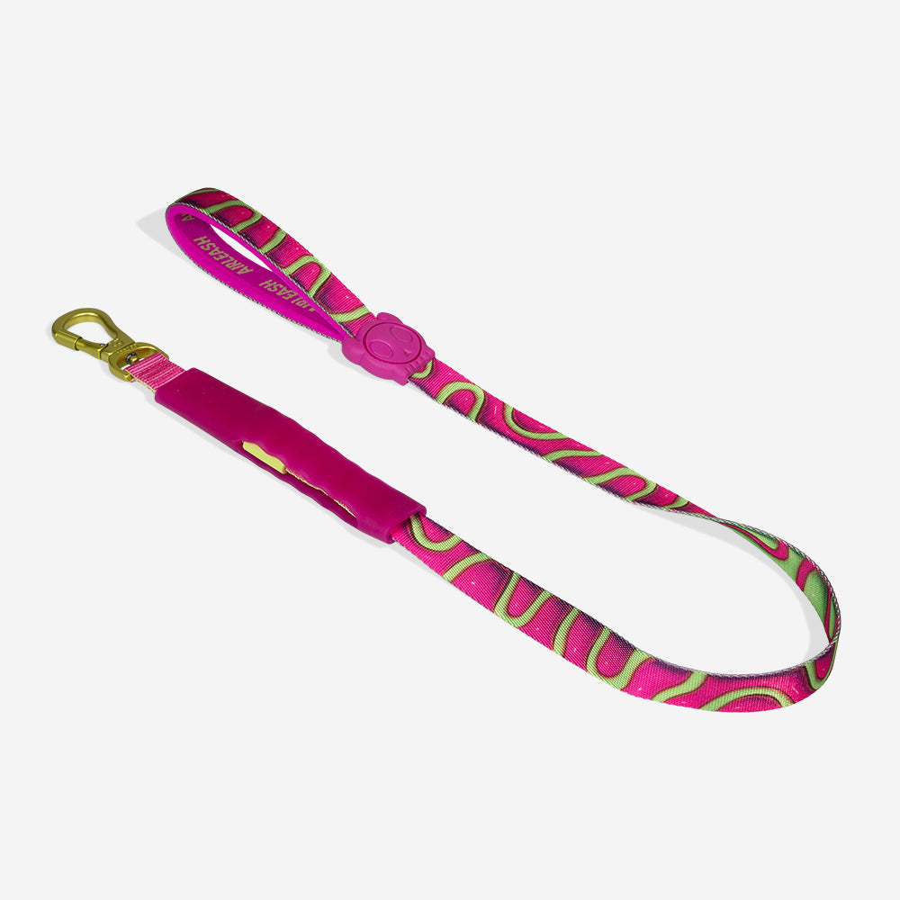 Correa Amortiguada Airleash para Perros H3D Jelly
