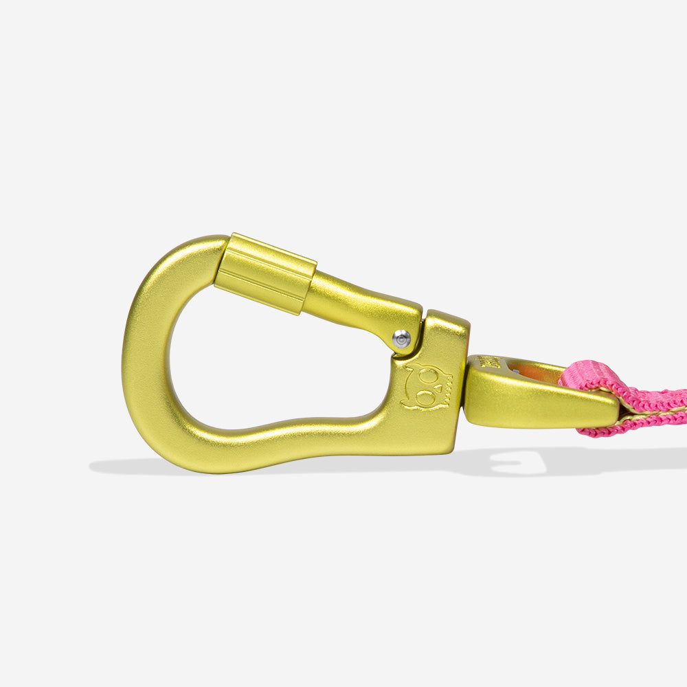 Correa Amortiguada Airleash para Perros H3D Jelly