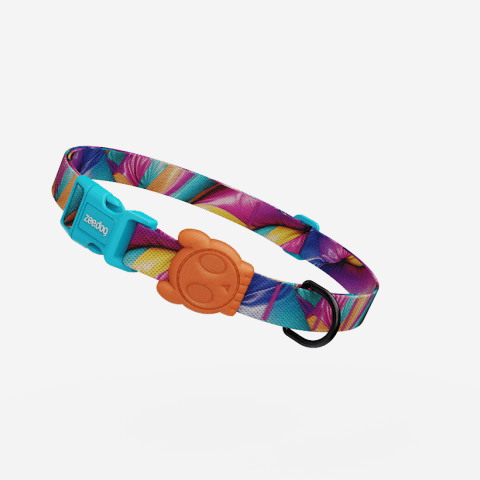 Collar para Perros H3D Bounce