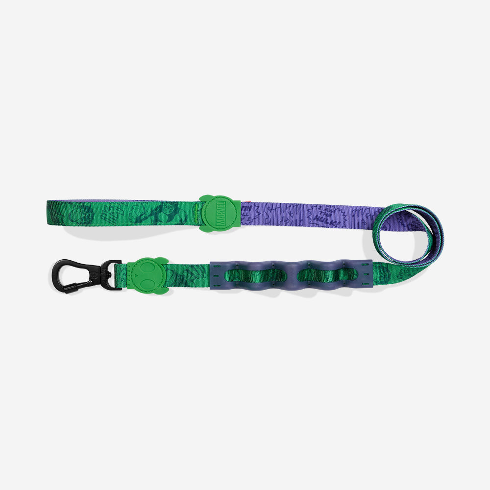 Correa Ruff con Amortiguador para Perros Marvel Hulk