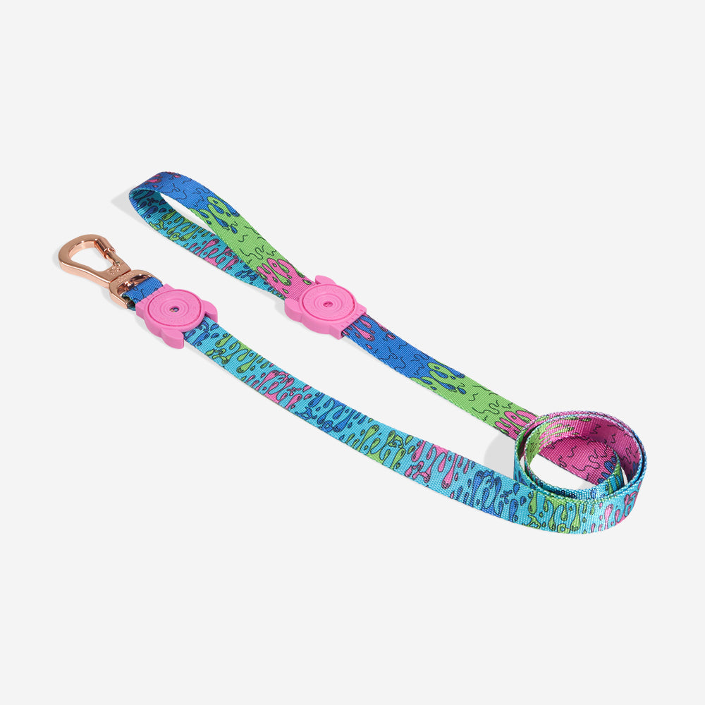 Correa para Perros Melted