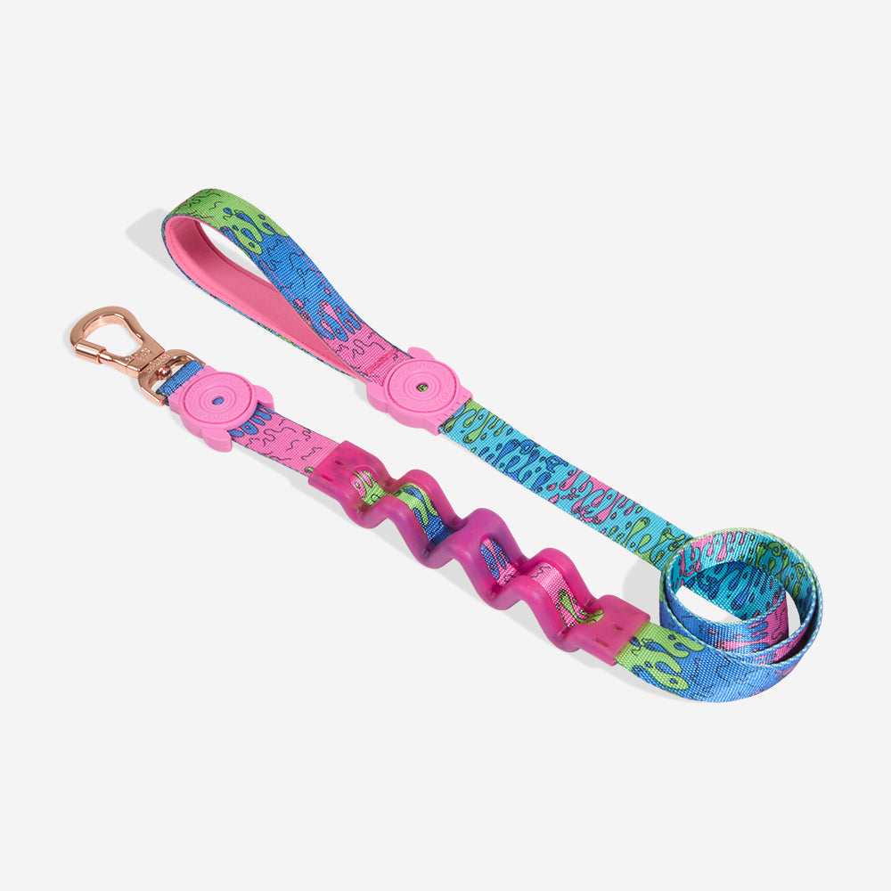 Correa Ruff con Amortiguador para Perros Melted