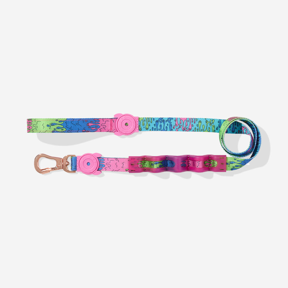 Correa Ruff con Amortiguador para Perros Melted